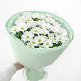 Арт. 0735. Кустовая хризантема 5шт, оформление